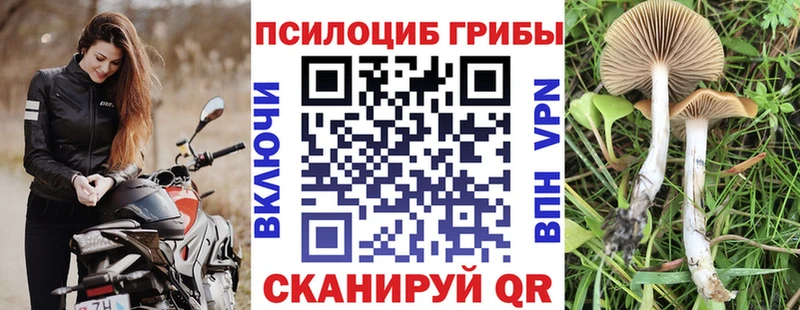 Псилоцибиновые грибы Magic Shrooms что такое Данилов